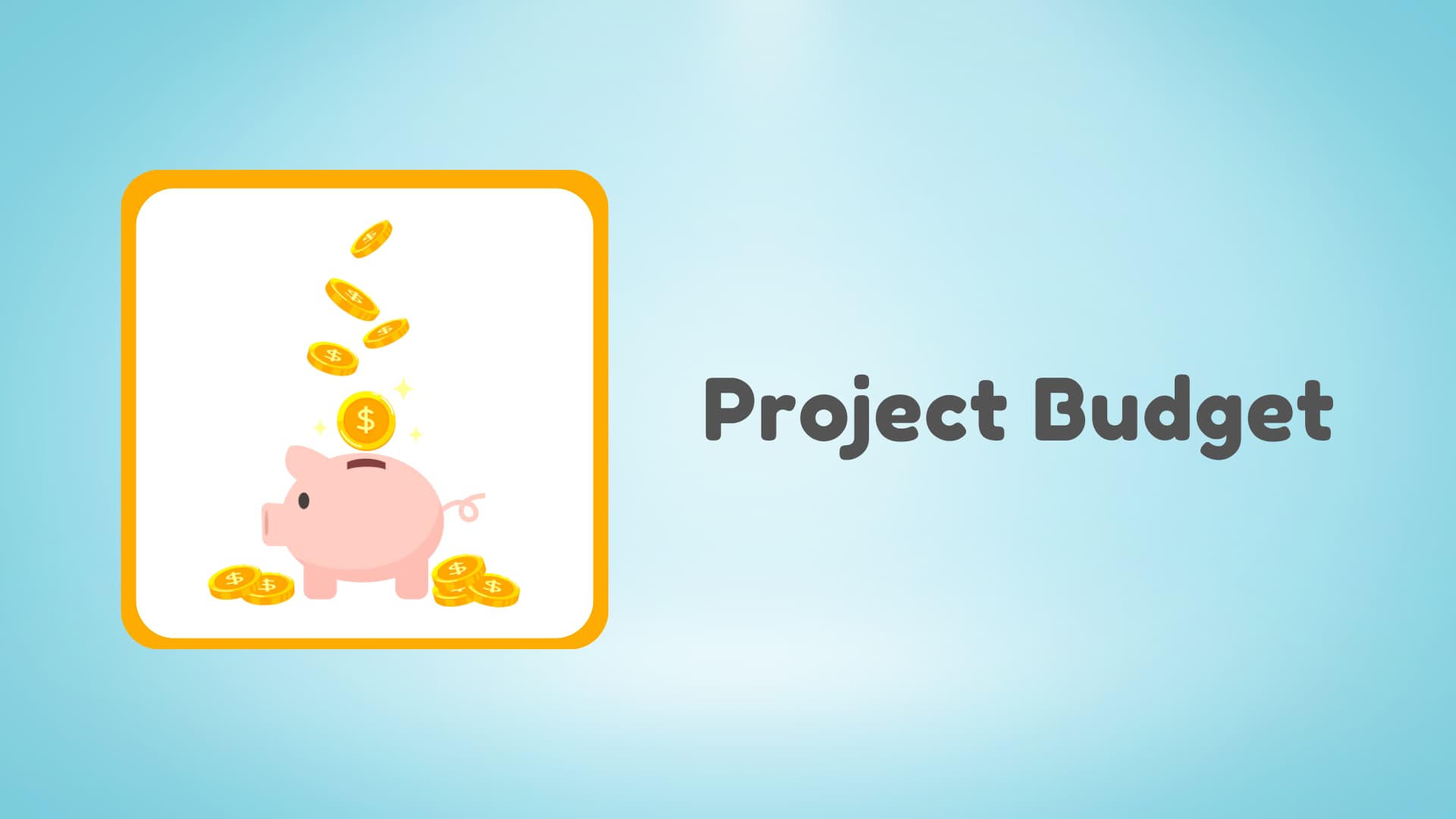 project budget